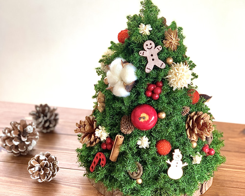 b8787ec444d9d695ffa636438cd16a