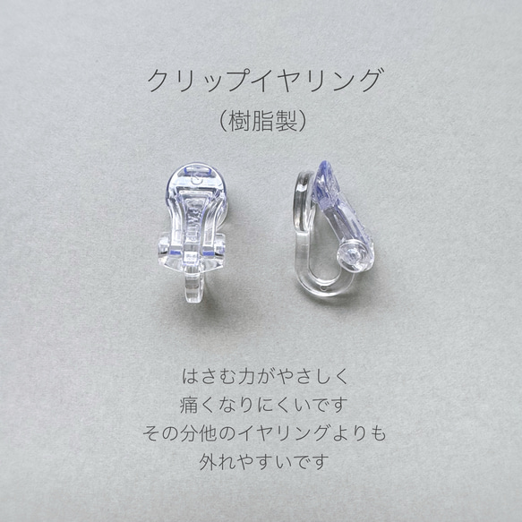 diiga mica_ﾃﾞｨｰｶﾞ ﾏｲｶ 9枚目の画像