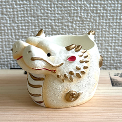 パンパスグラス　20本セット　超お得！ 国華園オンラインショップ / 花木苗 パンパスグラスセット 2種2株
