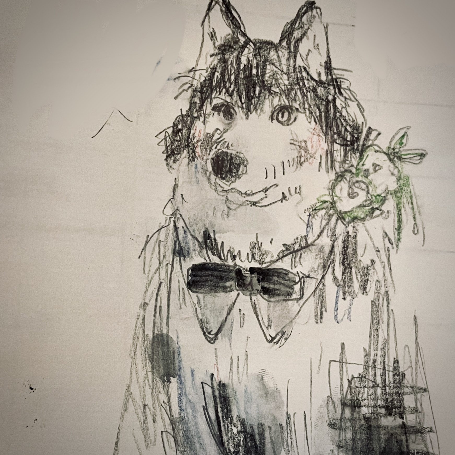 【オーダーフォームからご相談下さい!】ウェディングドック　リングドック　コスチューム&小物