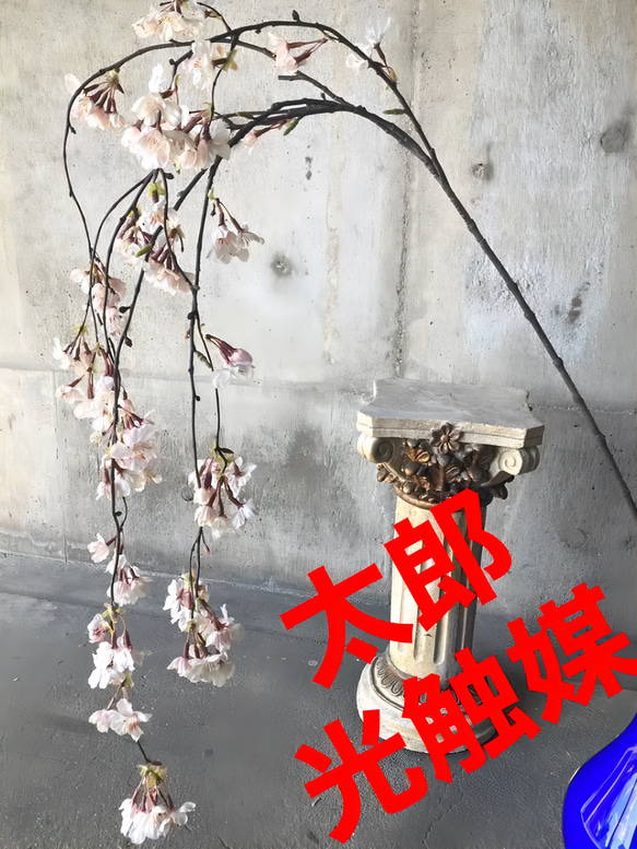 光触媒 人工観葉植物 ウォールグリーン フェイクグリーン 枝垂れ桜140 ...