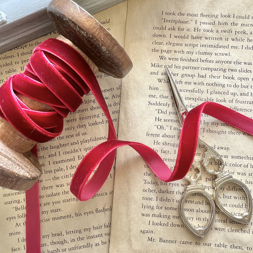 4m 片面ベルベットリボン 10mm幅 リボン・テープ La grace 通販  