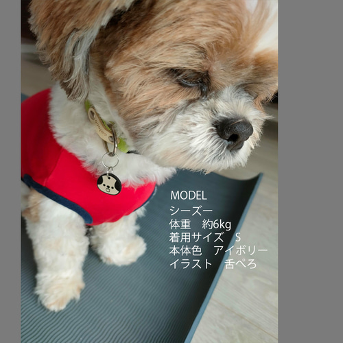 選べるイラスト：犬のころころ迷子札（ペットの名札、ネームプレート