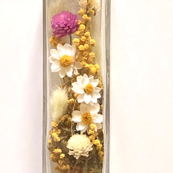 ハーバリウム ミモザ＆花かんざし ⑤ スクエアボトル フラワーボトル インテリアフラワー 3枚目の画像