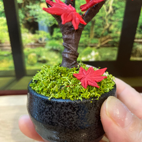 樹脂粘土製ミニチュア盆栽〈紅葉〉 盆栽 AB-Hachi Garden 通販 樹脂粘土製ミニチュア盆栽〈紅葉〉 盆栽 AB-Hachi Garden 通販