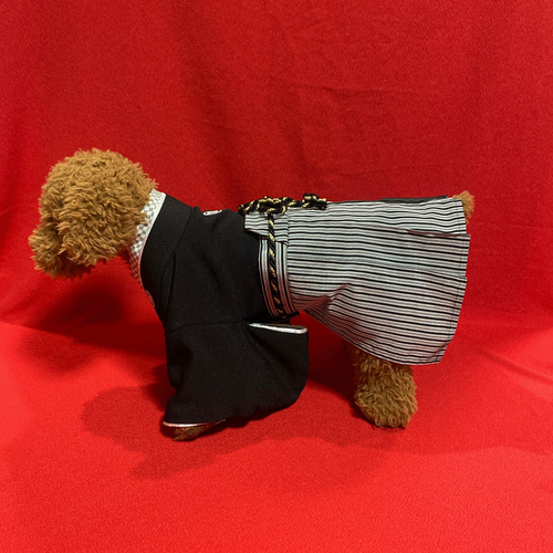 犬の袴✨犬用本格着物&袴セット 黒×グレー 家紋付き ペット服