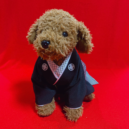 犬の袴✨犬用本格着物&袴セット 黒×グレー 家紋付き ペット服