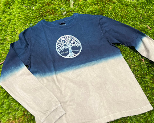 013ac00cfadcab3a5bec0e4ba0a9cd