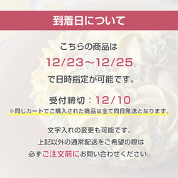 【12/10締切】罪悪感ゼロ♡イチゴとチョコのクリスマスRawケーキ【小麦粉・卵乳・白砂糖不使用】【ビーガン】 3枚目の画像