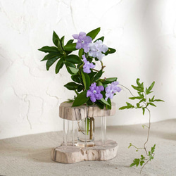 為什麼不用你最喜歡的花來裝飾它呢？浮木花瓶，花底座，單花瓶，70 第3張的照片
