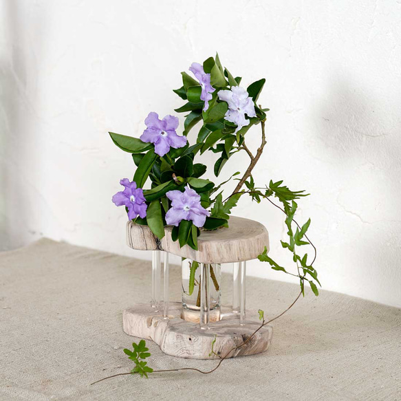 為什麼不用你最喜歡的花來裝飾它呢？浮木花瓶，花底座，單花瓶，70 第2張的照片