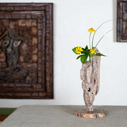 為什麼不用你最喜歡的花來裝飾它呢？浮木花瓶，花底座，單花瓶，66 第3張的照片