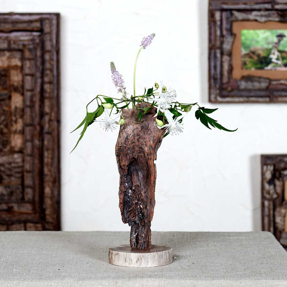 為什麼不用你最喜歡的花來裝飾它呢？浮木花瓶，花底座，單花瓶，69 第7張的照片