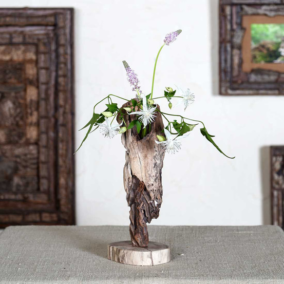 為什麼不用你最喜歡的花來裝飾它呢？浮木花瓶，花底座，單花瓶，69 第1張的照片