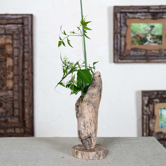 為什麼不用你最喜歡的花來裝飾它呢？浮木花瓶，花底座，單花瓶，71 第3張的照片