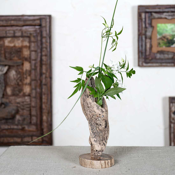 為什麼不用你最喜歡的花來裝飾它呢？浮木花瓶，花底座，單花瓶，71 第4張的照片