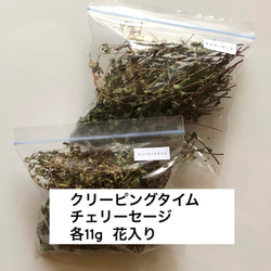  第1張的照片