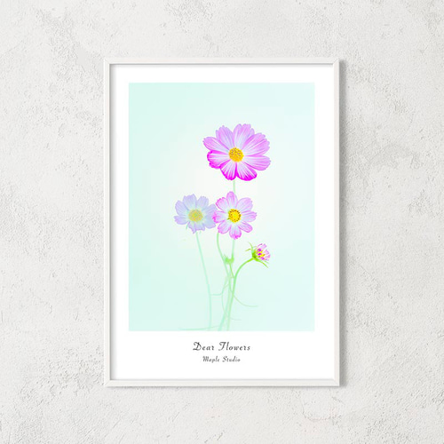 フラワーアート インテリアポスター コスモス パステル メッセージ変更