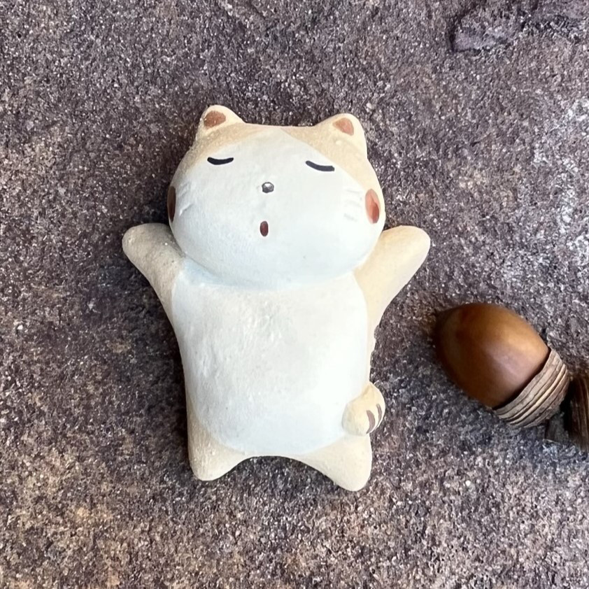 大の字猫 大の字猫