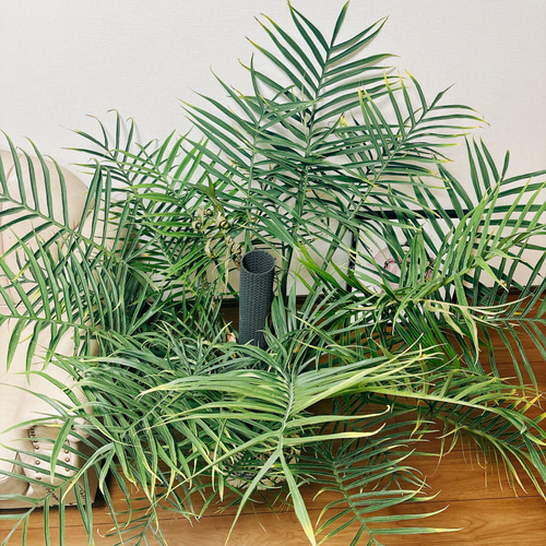 現品］大株！ フィロデンドロン トータム 10号 観葉植物 室内