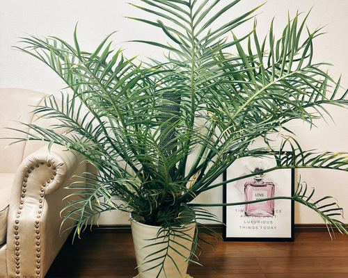 d309a7caf313e675c5a876ce3d7abf