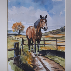 3D油彩画 花畑マッシモメダ作品2003ミラノにて購入サイズ約105✖️155cm 8265ad2470e822b3faee64fe8c0998