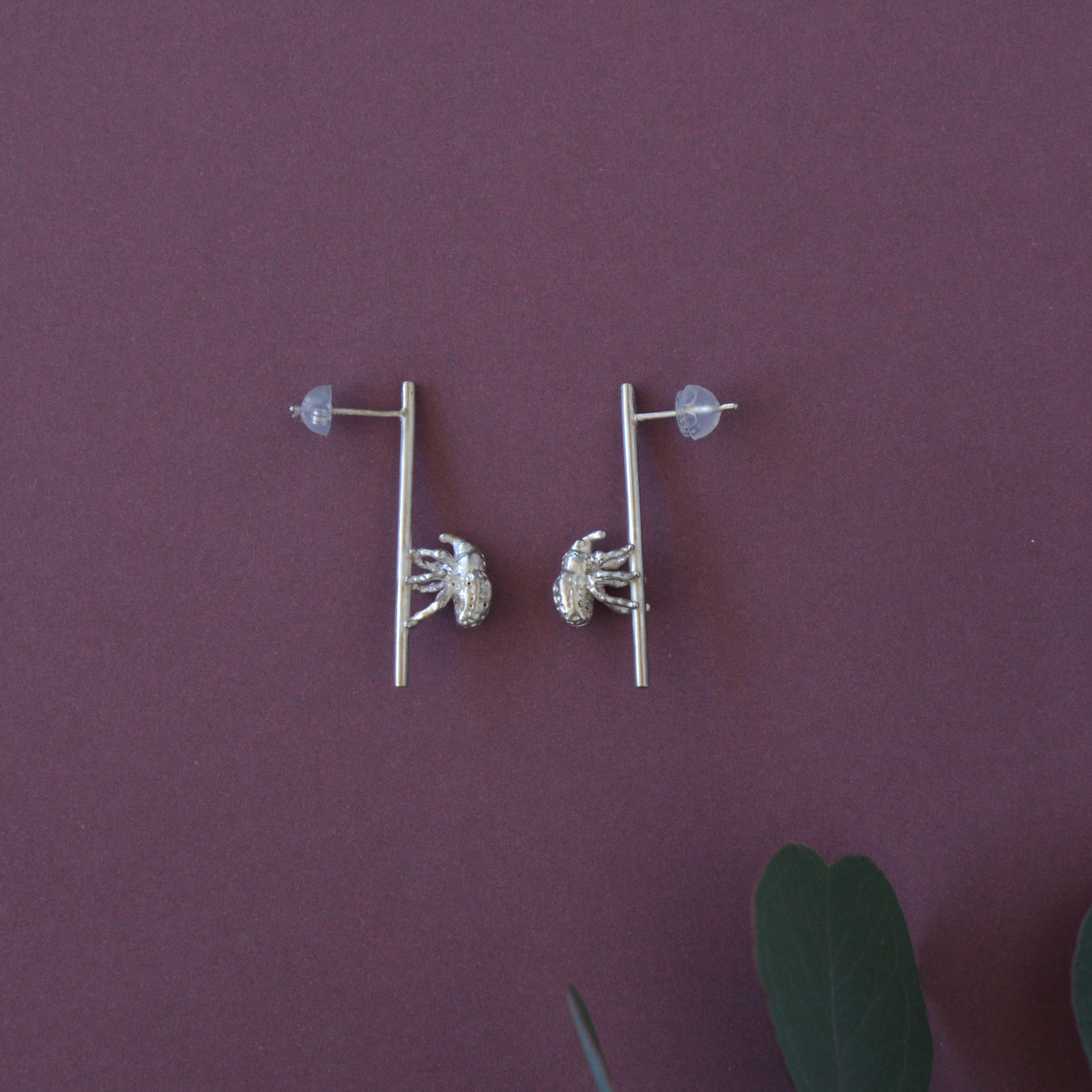 ゾウムシのピアス