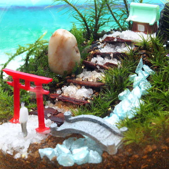 苔神社【苔テラリウム・手作りキット一式】金魚鉢 3枚目の画像