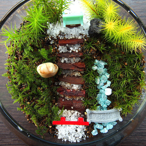 苔神社【苔テラリウム・手作りキット一式】金魚鉢 テラリウム 工房