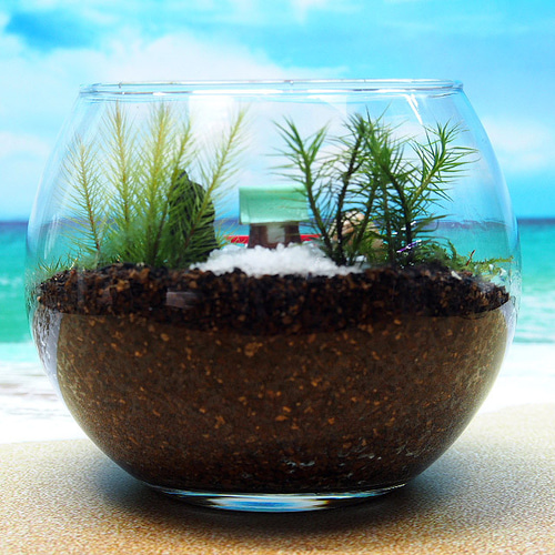 苔神社【苔テラリウム・手作りキット一式】金魚鉢 テラリウム 工房