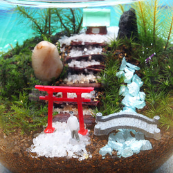 苔神社【苔テラリウム・手作りキット一式】金魚鉢 13枚目の画像