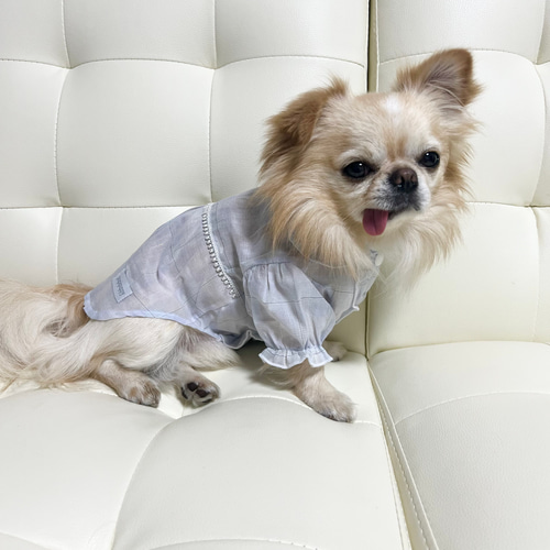 わんこ服ハンドメイドちょこっとお出かけブラウス♪Mサイズ