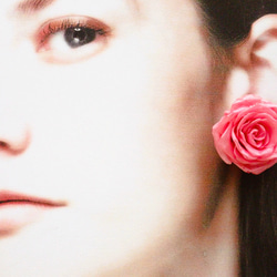Rosemellia　公主粉紅色玫瑰永生花　樹脂加工　兩用耳釘＋耳夾耳環　❊空郵台灣5-7天 第7張的照片