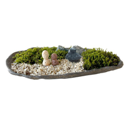 苔盆栽 のどかな里山 くらま岩鉢　家　ひとり セット 選べる スナゴケ 10枚目の画像