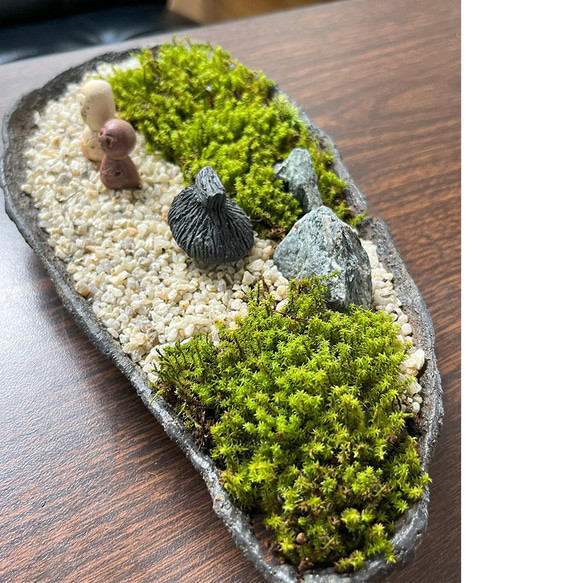 苔盆栽 のどかな里山 くらま岩鉢　家　ひとり セット 選べる スナゴケ 8枚目の画像
