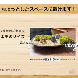 苔盆栽 のどかな里山 くらま岩鉢　家　ひとり セット 選べる スナゴケ 5枚目の画像
