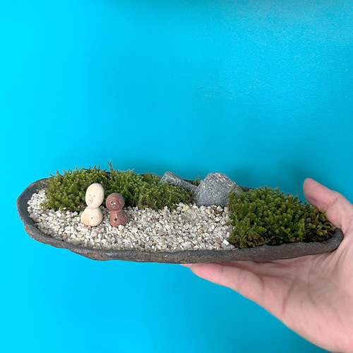 苔盆栽 のどかな里山 くらま岩鉢 家 ひとり セット 選べる スナゴケ