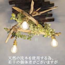 ※受注制作品　流木のペンダントライト3灯 3枚目の画像