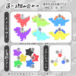  第8張的照片