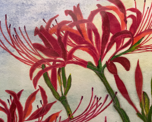 水彩画 150角 彼岸花 絵画 aqua☆ 通販 16690276|Creema(クリーマ) 水彩画 150角 彼岸花 絵画 aqua☆ 通販 16690276|Creema(クリーマ)