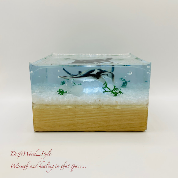 海の世界を閉じ込めた流木アート マンタ 水中ジオラマ 流木 レジンアート オブジェ アクアリウム LEDライト付 N3 9枚目の画像