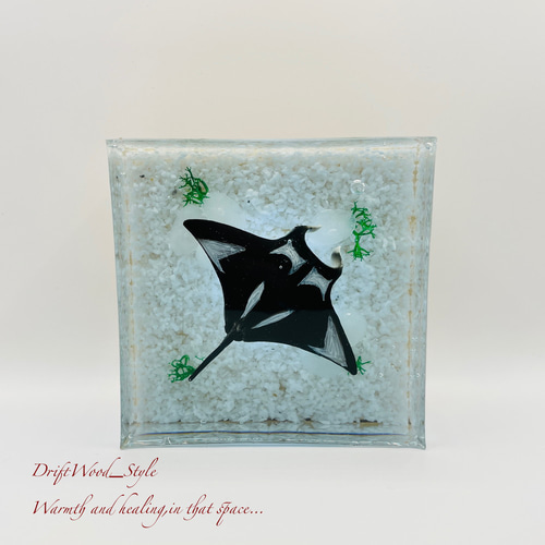 海の世界を閉じ込めた流木アート マンタ 水中ジオラマ 流木 レジン