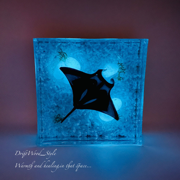 海の世界を閉じ込めた流木アート マンタ 水中ジオラマ 流木 レジン