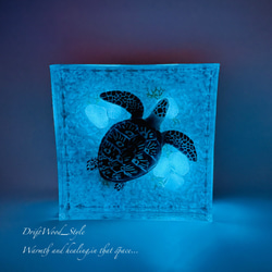 海の世界を閉じ込めた流木アート 浅瀬を泳ぐアオウミガメ 水中ジオラマ オブジェ アクアリウム LEDライト付 N7 1枚目の画像