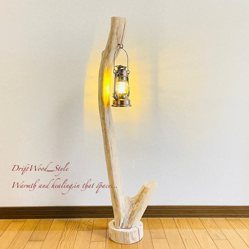 流木インテリア 美しい曲線を描く流木スタンド ランタンやエアプラント