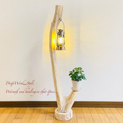 流木インテリア 美しい曲線を描く流木スタンド ランタンやエアプラント