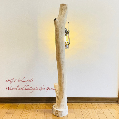流木インテリア 美しい曲線を描く流木スタンド ランタンやエアプラント