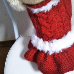 【犬用セーター】サンタさんになれますよ❢Ｌサイズ 3枚目の画像