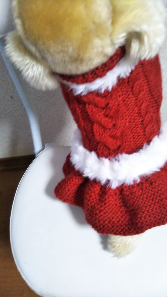 【犬用セーター】サンタさんになれますよ❢Ｌサイズ 3枚目の画像