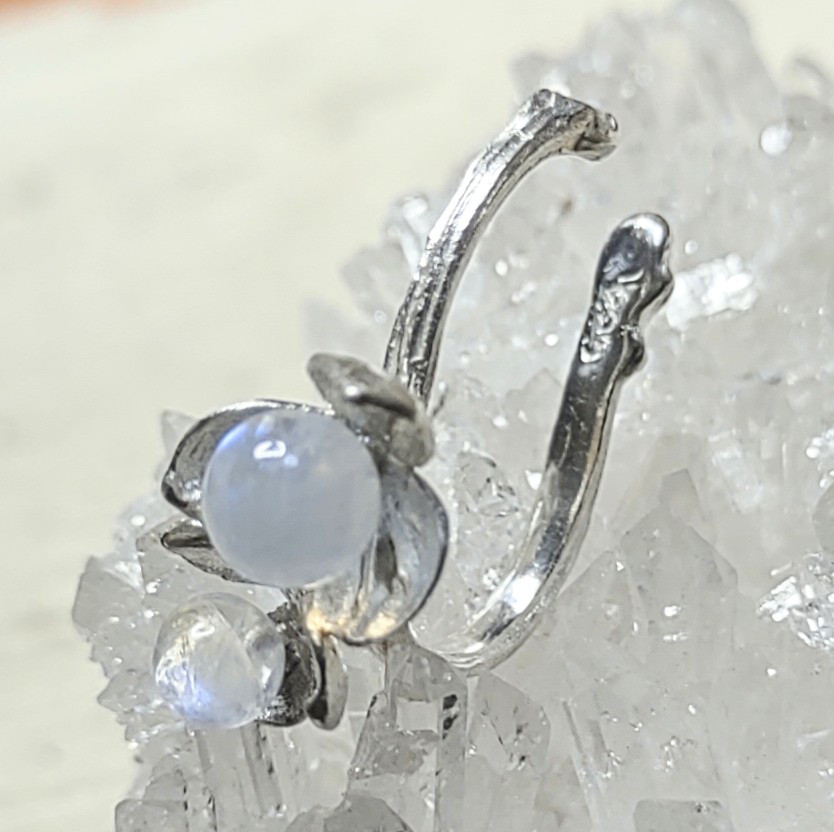 ツルウメモドキ2輪＊925イヤーカフ